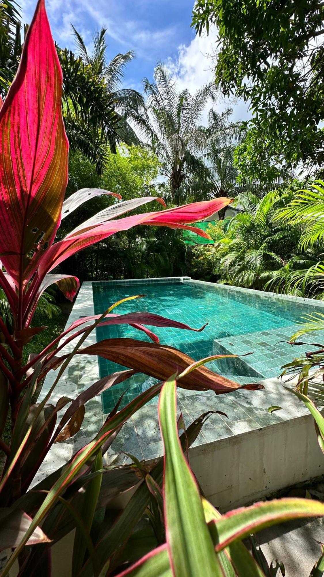 Salad Beach Guest House Ko Pha Ngan Exterior foto